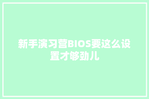 新手演习营BIOS要这么设置才够劲儿