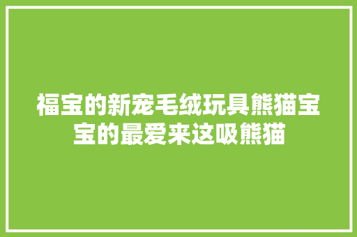 福宝的新宠毛绒玩具熊猫宝宝的最爱来这吸熊猫