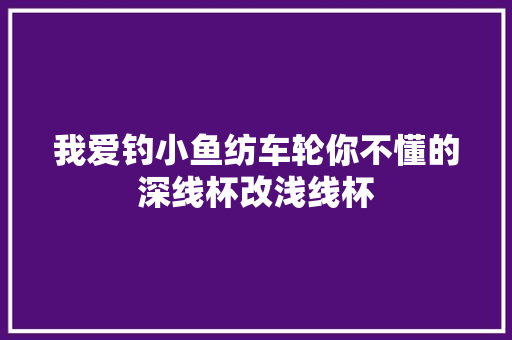 我爱钓小鱼纺车轮你不懂的深线杯改浅线杯