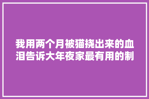 我用两个月被猫挠出来的血泪告诉大年夜家最有用的制猫神招