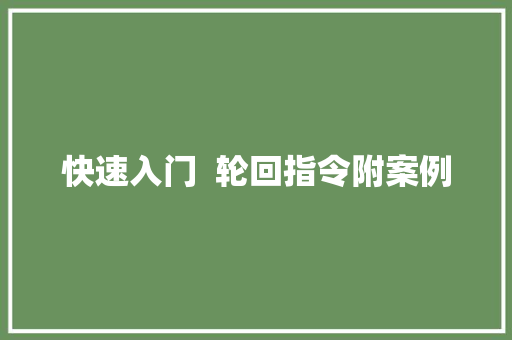 快速入门  轮回指令附案例