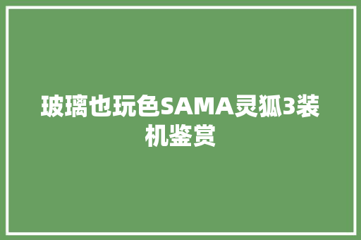 玻璃也玩色SAMA灵狐3装机鉴赏