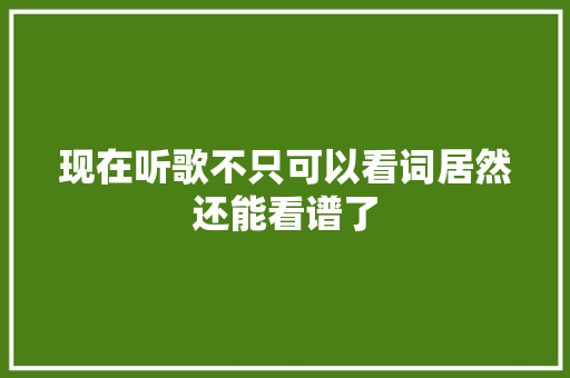 现在听歌不只可以看词居然还能看谱了