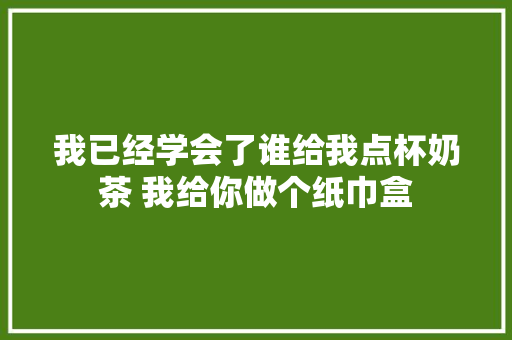 我已经学会了谁给我点杯奶茶 我给你做个纸巾盒