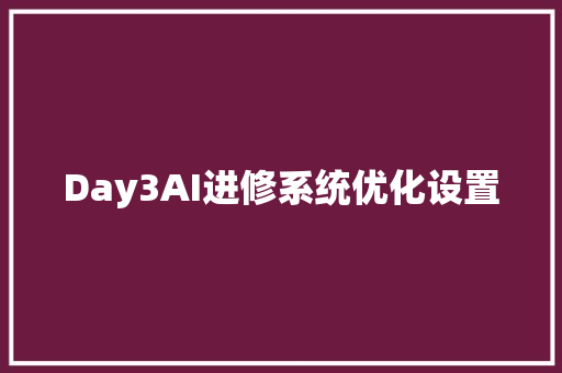 Day3AI进修系统优化设置