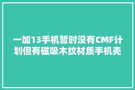 一加13手机暂时没有CMF计划但有磁吸木纹材质手机壳