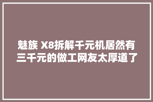 魅族 X8拆解千元机居然有三千元的做工网友太厚道了