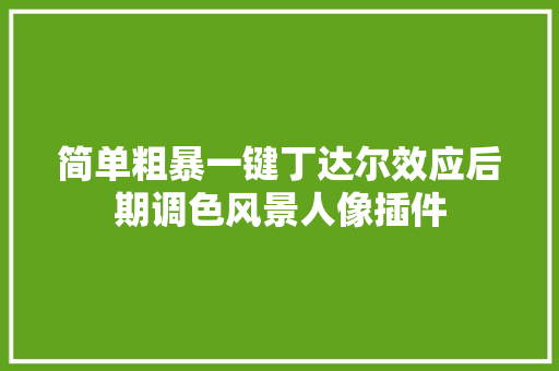 简单粗暴一键丁达尔效应后期调色风景人像插件