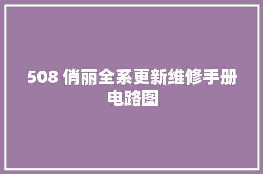 508 俏丽全系更新维修手册电路图