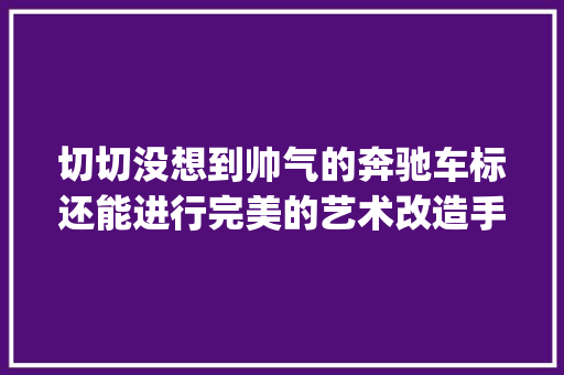 切切没想到帅气的奔驰车标还能进行完美的艺术改造手工diy