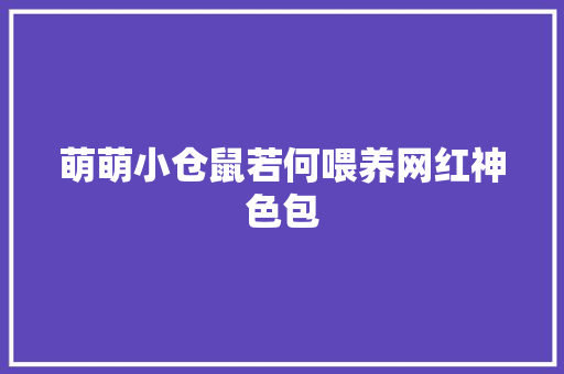 萌萌小仓鼠若何喂养网红神色包