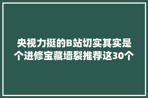 央视力挺的B站切实其实是个进修宝藏墙裂推荐这30个良心up主