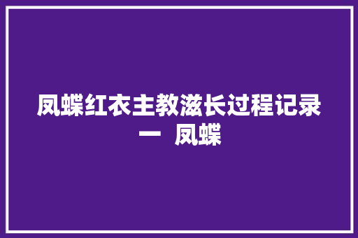 凤蝶红衣主教滋长过程记录一  凤蝶