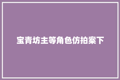 宝青坊主等角色仿拍案下