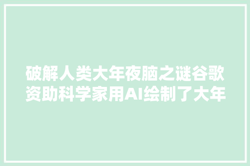 破解人类大年夜脑之谜谷歌资助科学家用AI绘制了大年夜脑超级具体结构图