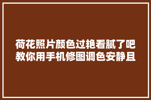 荷花照片颜色过艳看腻了吧教你用手机修图调色安静且高级