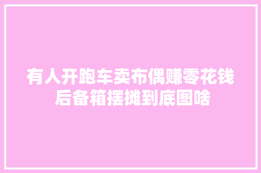 有人开跑车卖布偶赚零花钱 后备箱摆摊到底图啥