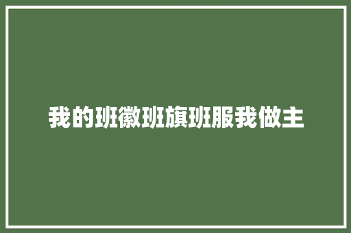 我的班徽班旗班服我做主