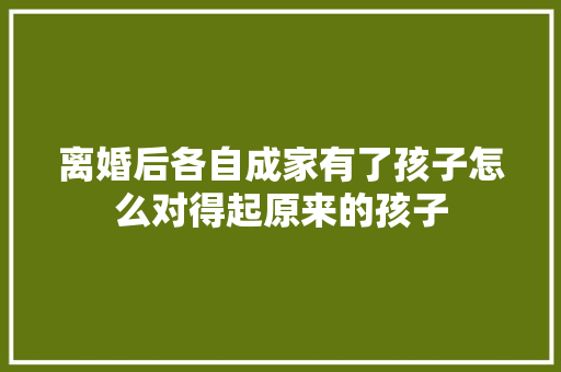 离婚后各自成家有了孩子怎么对得起原来的孩子