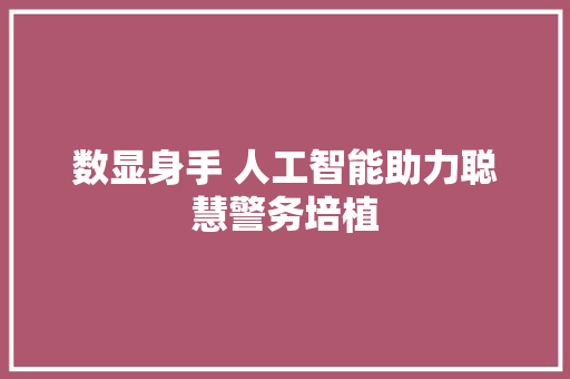 数显身手 人工智能助力聪慧警务培植