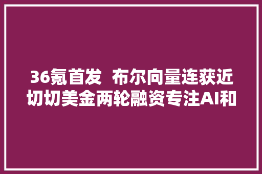 36氪首发  布尔向量连获近切切美金两轮融资专注AI和数据化视频生成