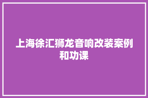 上海徐汇狮龙音响改装案例和功课