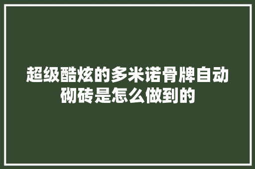 超级酷炫的多米诺骨牌自动砌砖是怎么做到的