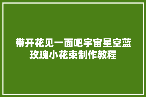 带开花见一面吧宇宙星空蓝玫瑰小花束制作教程