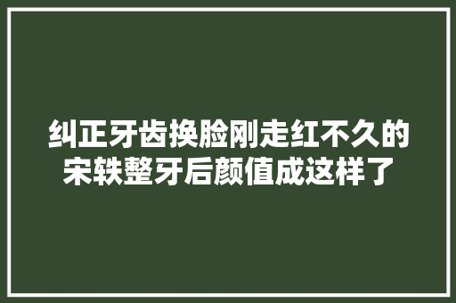 纠正牙齿换脸刚走红不久的宋轶整牙后颜值成这样了