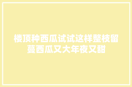 楼顶种西瓜试试这样整枝留蔓西瓜又大年夜又甜