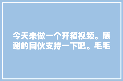 今天来做一个开箱视频。感谢的同伙支持一下吧。毛毛