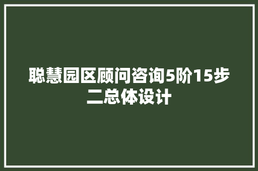 聪慧园区顾问咨询5阶15步二总体设计