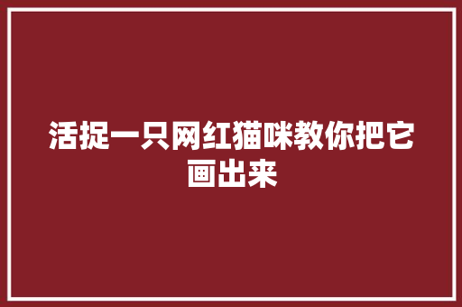 活捉一只网红猫咪教你把它画出来