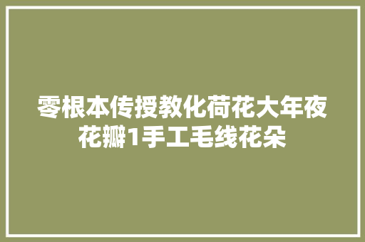 零根本传授教化荷花大年夜花瓣1手工毛线花朵