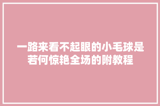 一路来看不起眼的小毛球是若何惊艳全场的附教程