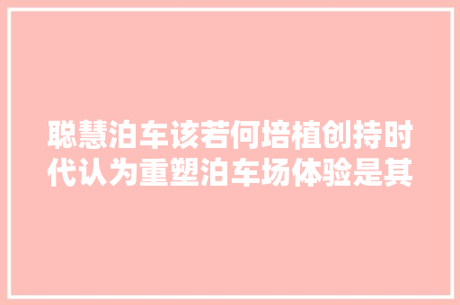 聪慧泊车该若何培植创持时代认为重塑泊车场体验是其聪慧的硬核