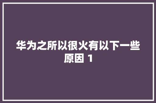 华为之所以很火有以下一些原因 1