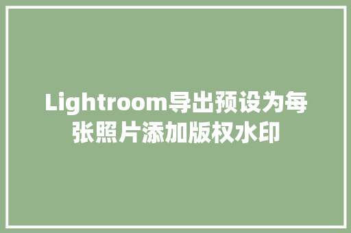 Lightroom导出预设为每张照片添加版权水印