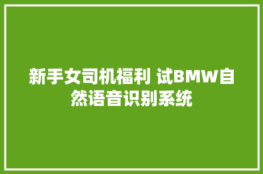 新手女司机福利 试BMW自然语音识别系统