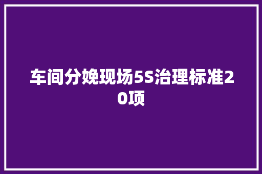 车间分娩现场5S治理标准20项