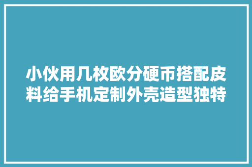 小伙用几枚欧分硬币搭配皮料给手机定制外壳造型独特且