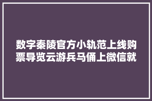 数字秦陵官方小轨范上线购票导览云游兵马俑上微信就可以搞定