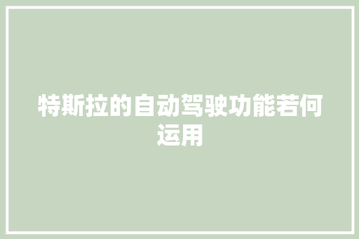 特斯拉的自动驾驶功能若何运用