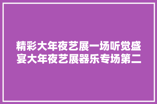 精彩大年夜艺展一场听觉盛宴大年夜艺展器乐专场第二场精彩上演