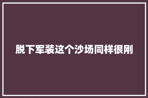 脱下军装这个沙场同样很刚