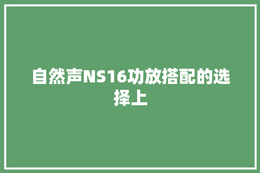 自然声NS16功放搭配的选择上