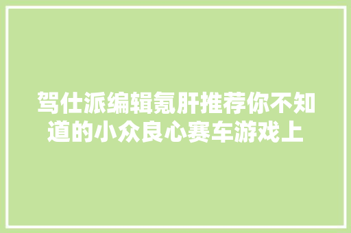 驾仕派编辑氪肝推荐你不知道的小众良心赛车游戏上