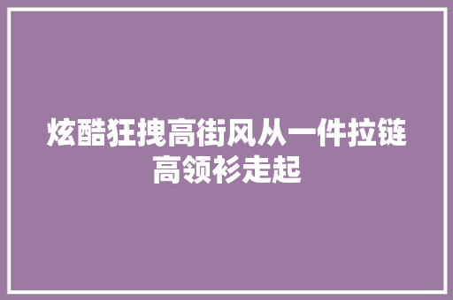 炫酷狂拽高街风从一件拉链高领衫走起