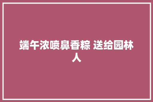 端午浓喷鼻香粽 送给园林人