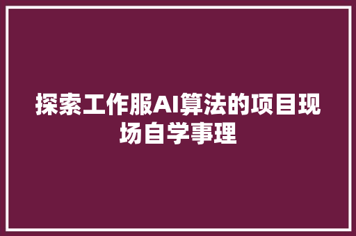 探索工作服AI算法的项目现场自学事理